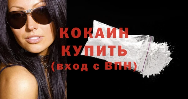 шишки Михайлов