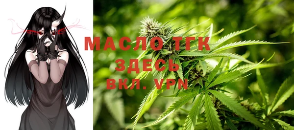 дмт Болотное