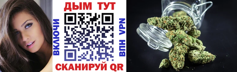как найти   Чегем  блэк спрут как зайти  Бошки марихуана AK-47 